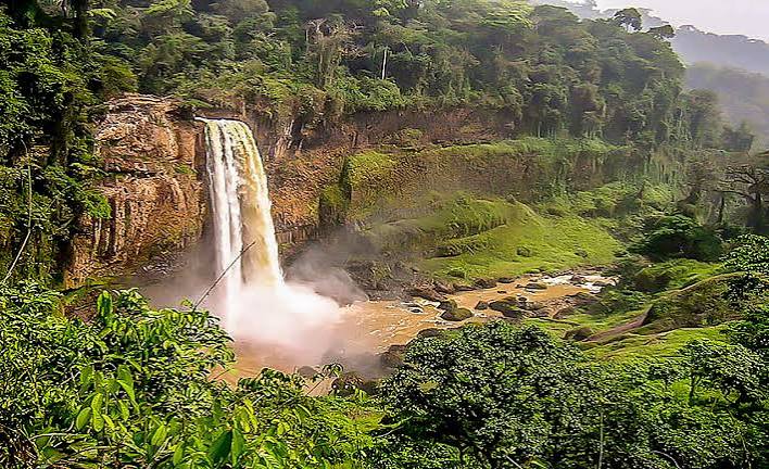 Cascade et forêt tropicale au Cameroun