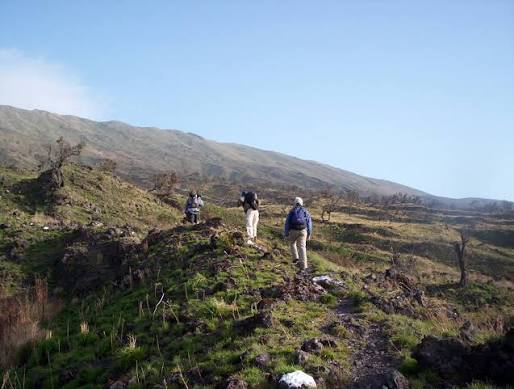 Randonnée sur les pentes du mont Cameroun